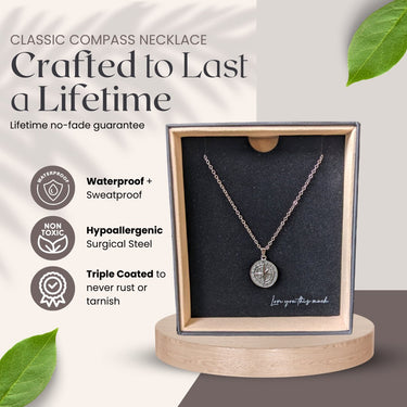Future Father In Law (From Bride) Compass Necklace - Love You This Much